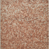 Milah van Zuilen, 2020, "Oak-beech forest floor"